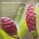 Paul Mitchell Awapuhi Wild Ginger Intensive Treatment 75ml