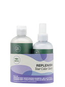 Paul Mitchell Tea Tree Lavender Mint Duo