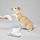 Paul Mitchell Pet Fragrance Free Wipes (MJ25)