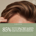 Paul Mitchell Tea Tree Scalp Care Regeniplex Regimen Kit