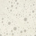 Paul Mitchell Tea Tree Scalp Care Regeniplex Shampoo 300ml